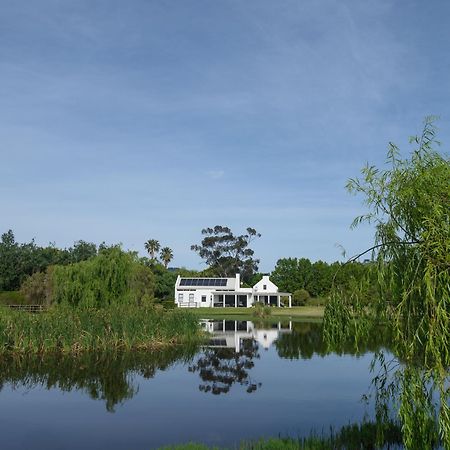 Sanddrif Stellenbosch Guest Farm Exterior foto