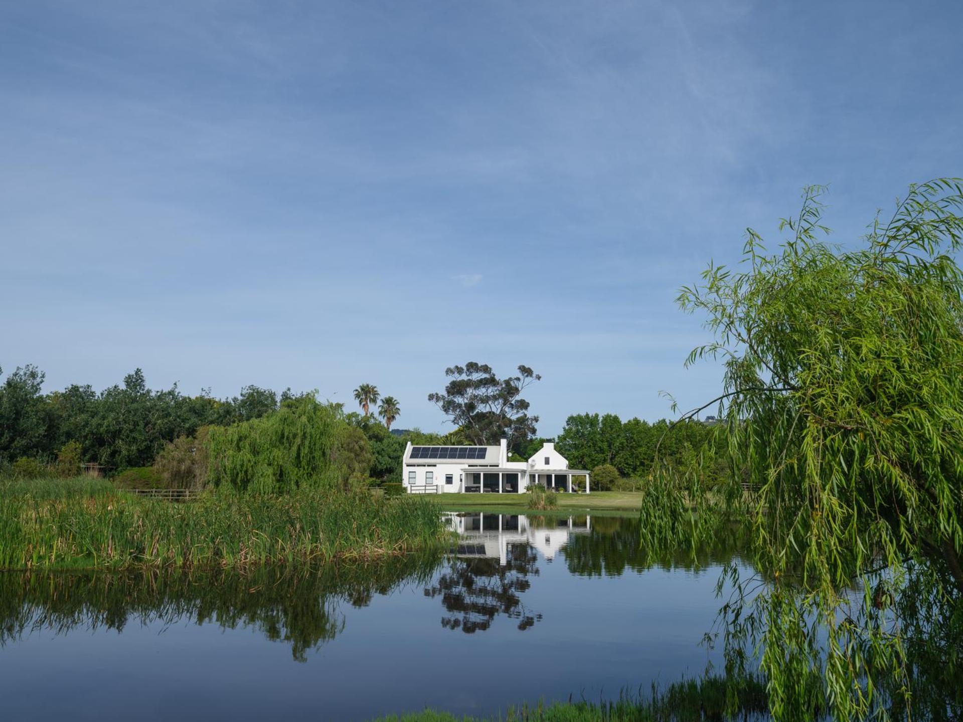 Sanddrif Stellenbosch Guest Farm Exterior foto