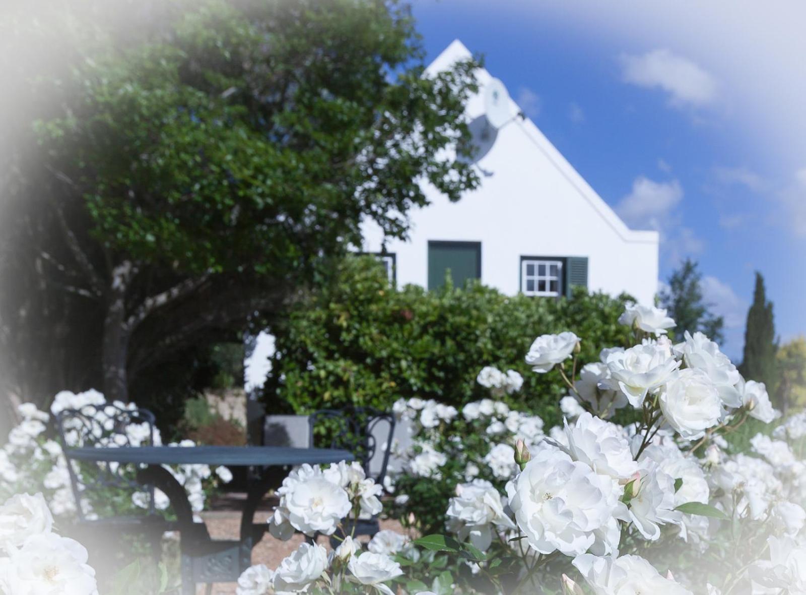 Sanddrif Stellenbosch Guest Farm Exterior foto